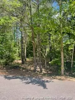 859 Blue Bird Drive, Vass, NC 28394