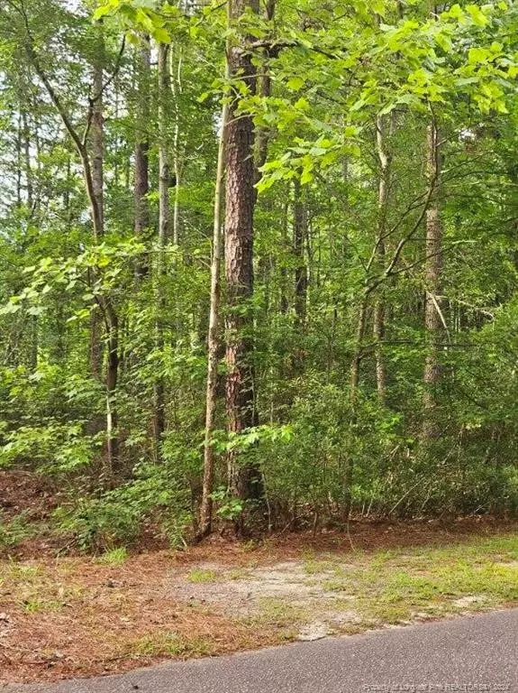 Vass, NC 28394,662 Wren Lane