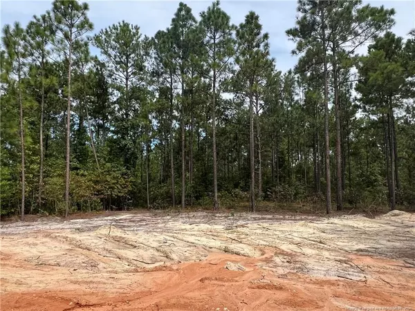 Fayetteville, NC 28311,806 New Kirk (Lot 83) Court