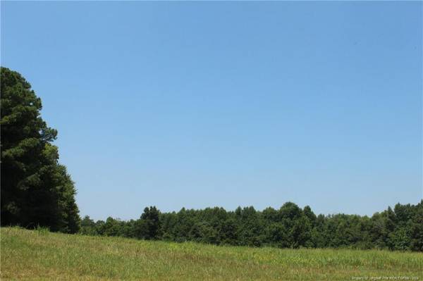 tbd Siler City Glendon Road, Bear Creek, NC 27207