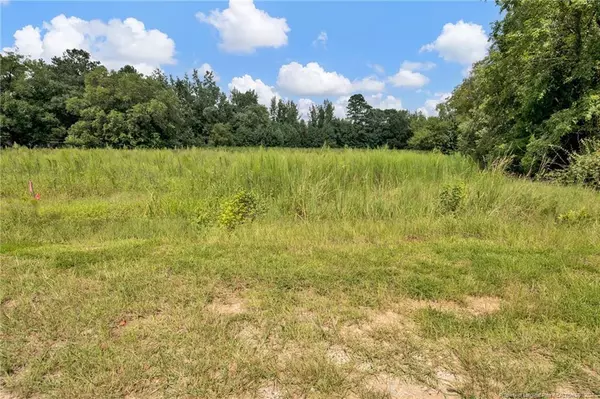 Spring Lake, NC 28390,517 (Lot 2) Hayes Road