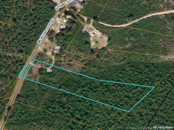 0 McKoy Loop Road, Ivanhoe, NC 28447