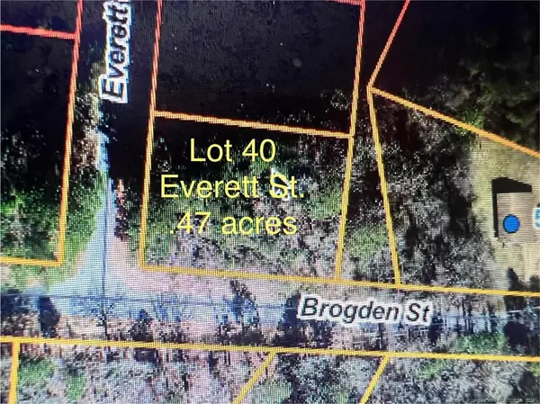 Everett Street, Mount Olive, NC 28365