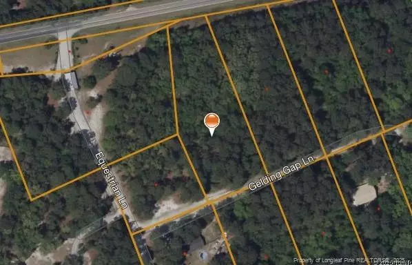 Gelding Gap Lane, Carthage, NC 28327