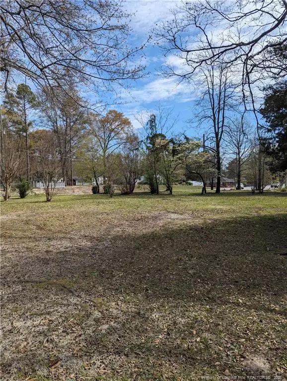 106 Wilkinson (Proposed Parcel A) Drive, Saint Pauls, NC 28384