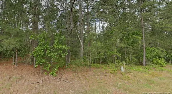 37 Peach Orchard Road, Wagram, NC 28396