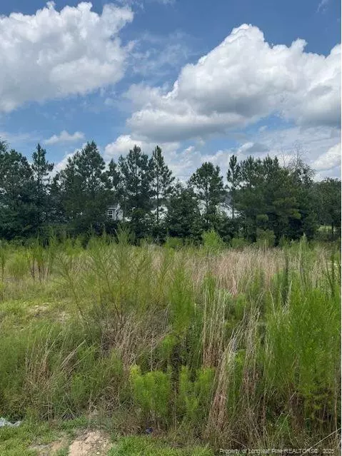 457 Pittfield Run, Cameron, NC 28326