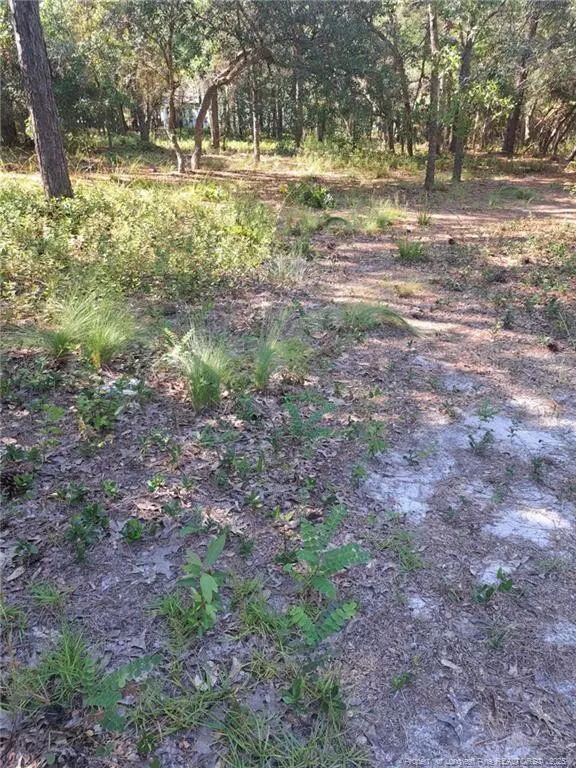 3317 Marlin Drive, Bolivia, NC 28422