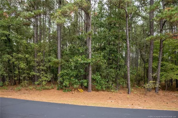 0 Deercroft Drive, Wagram, NC 28396