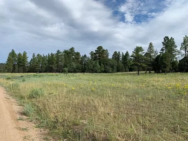 TBD FR 137 Forest Service Rd 137, Canjilon, NM 87515