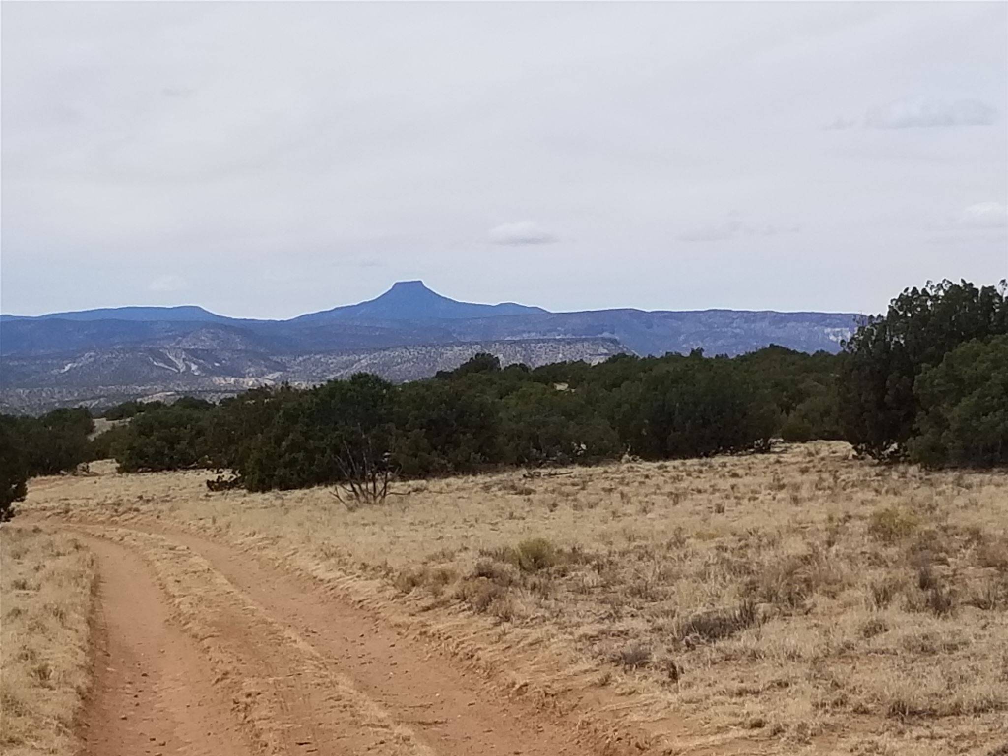 TBD Buffalo, Abiquiu, NM 87510-0000