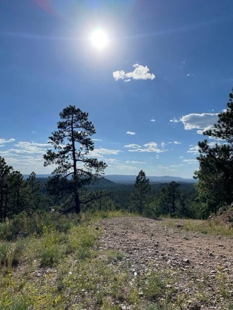Chama, NM 87520,TBD Ticonderoga