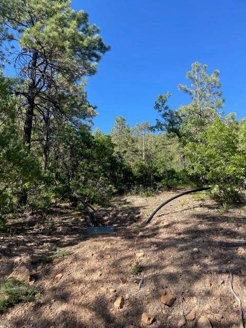 Chama, NM 87520,TBD Ticonderoga