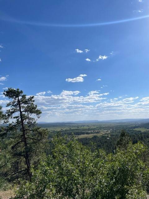 Chama, NM 87520,TBD Ticonderoga