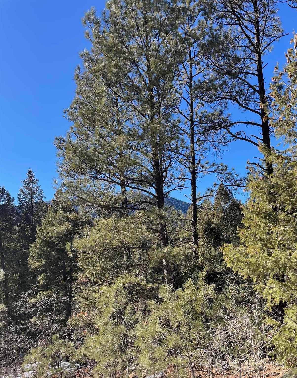 Guadalupita, NM 87722,17 Ellen