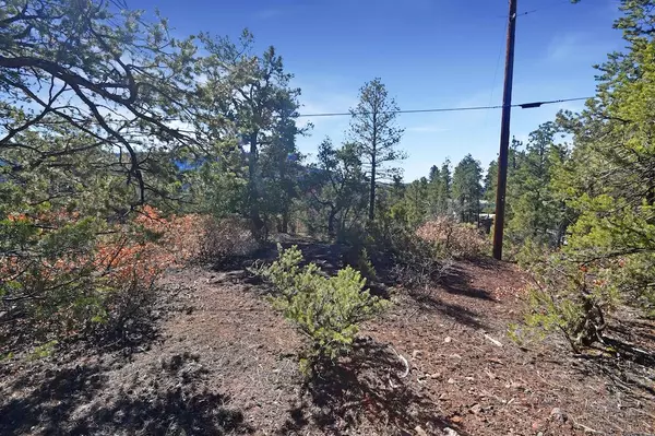 Lot 4-B Ponderosa, Jemez Springs, NM 87025