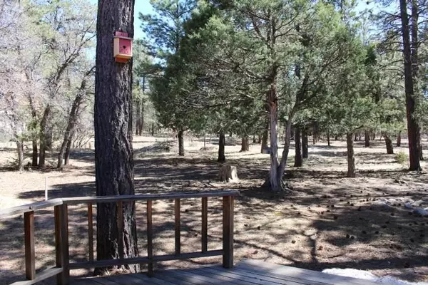 Chama, NM 87520,10 PD 1754