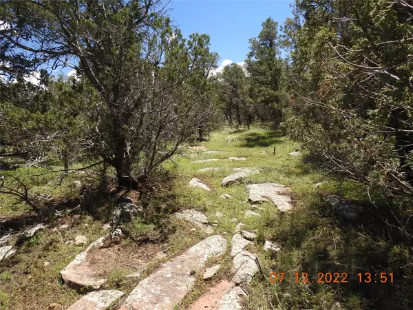 Rowe, NM 87562,9 Tierra del Dios