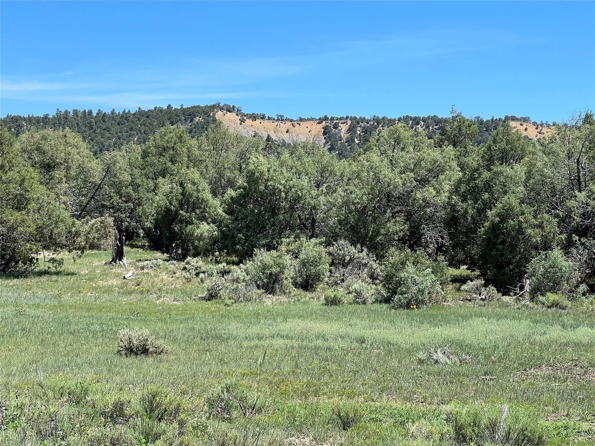 Tierra Amarilla, NM 87575,TBD Highway 84/64