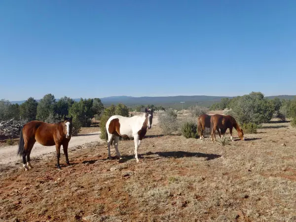TBD Alden Estrada Dr., Serafina, NM 87569