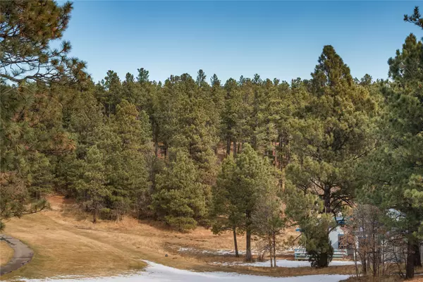 Rociada, NM 87742,Lot 53 Cielo