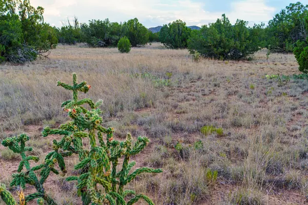 Cerrillos, NM 87010,63 Pioneer Way