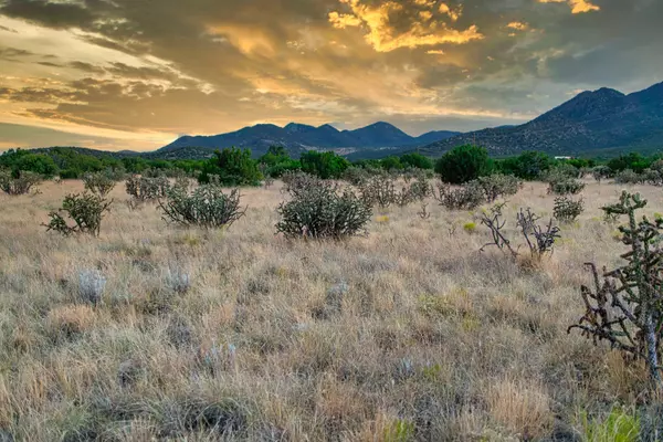 509 Goldmine, Cerrillos, NM 87010