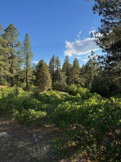 TBD Eagles 2A, Chama, NM 87520