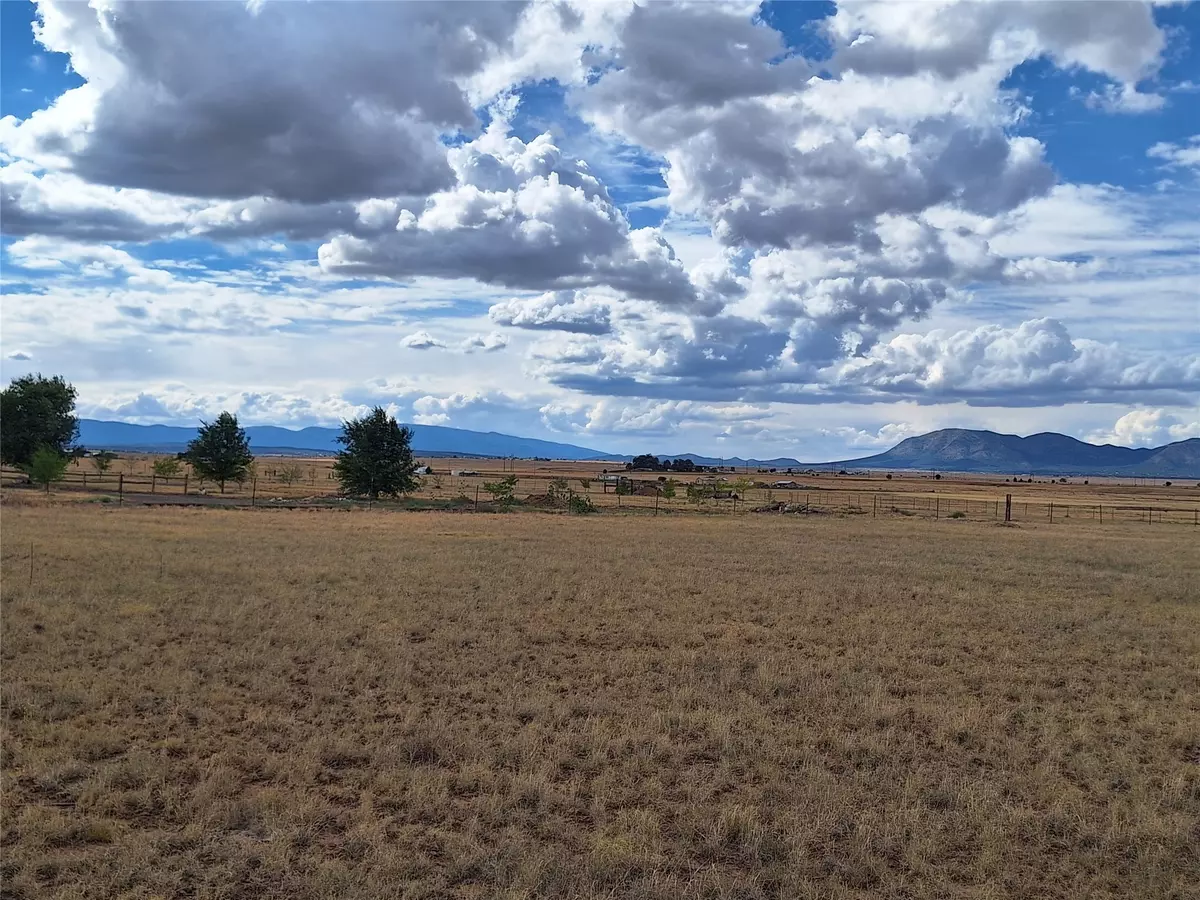 Moriarty, NM 87035,0 Tomasini CT