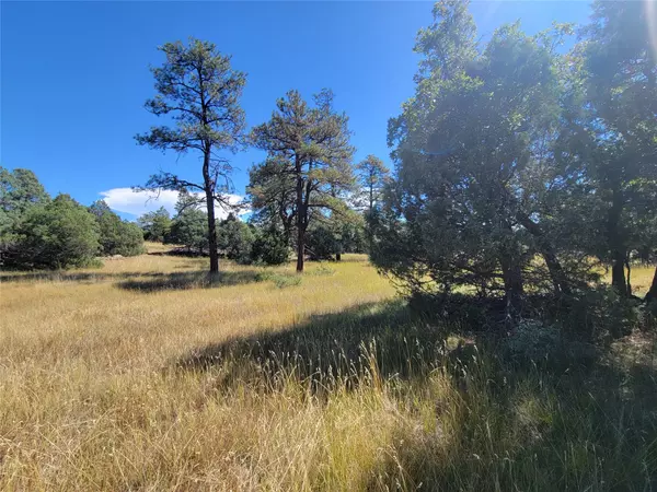 Los Ojos, NM 87551,Lot 64 Rim #1