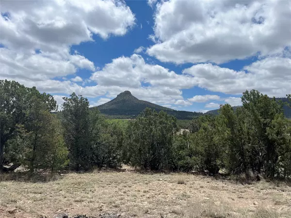 Bernal, NM 87569,12 Calle Sabina