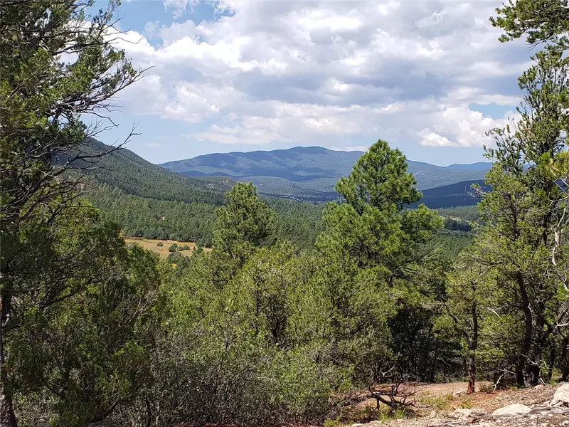 183 La Joya RD, Glorieta, NM 87535