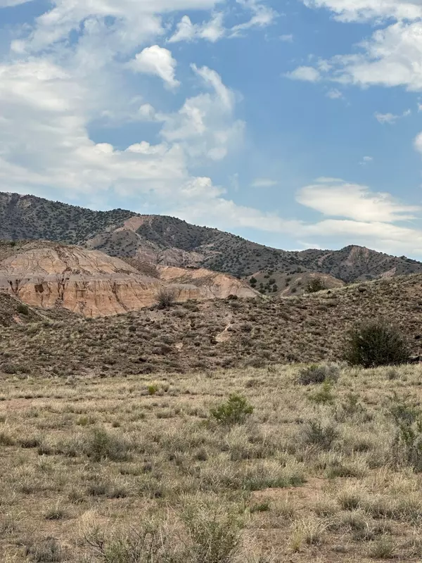 Abiquiu, NM 87510,14 Blackfoot Trail