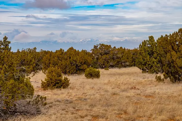 Cerrillos, NM 87010,TBD Three Sisters