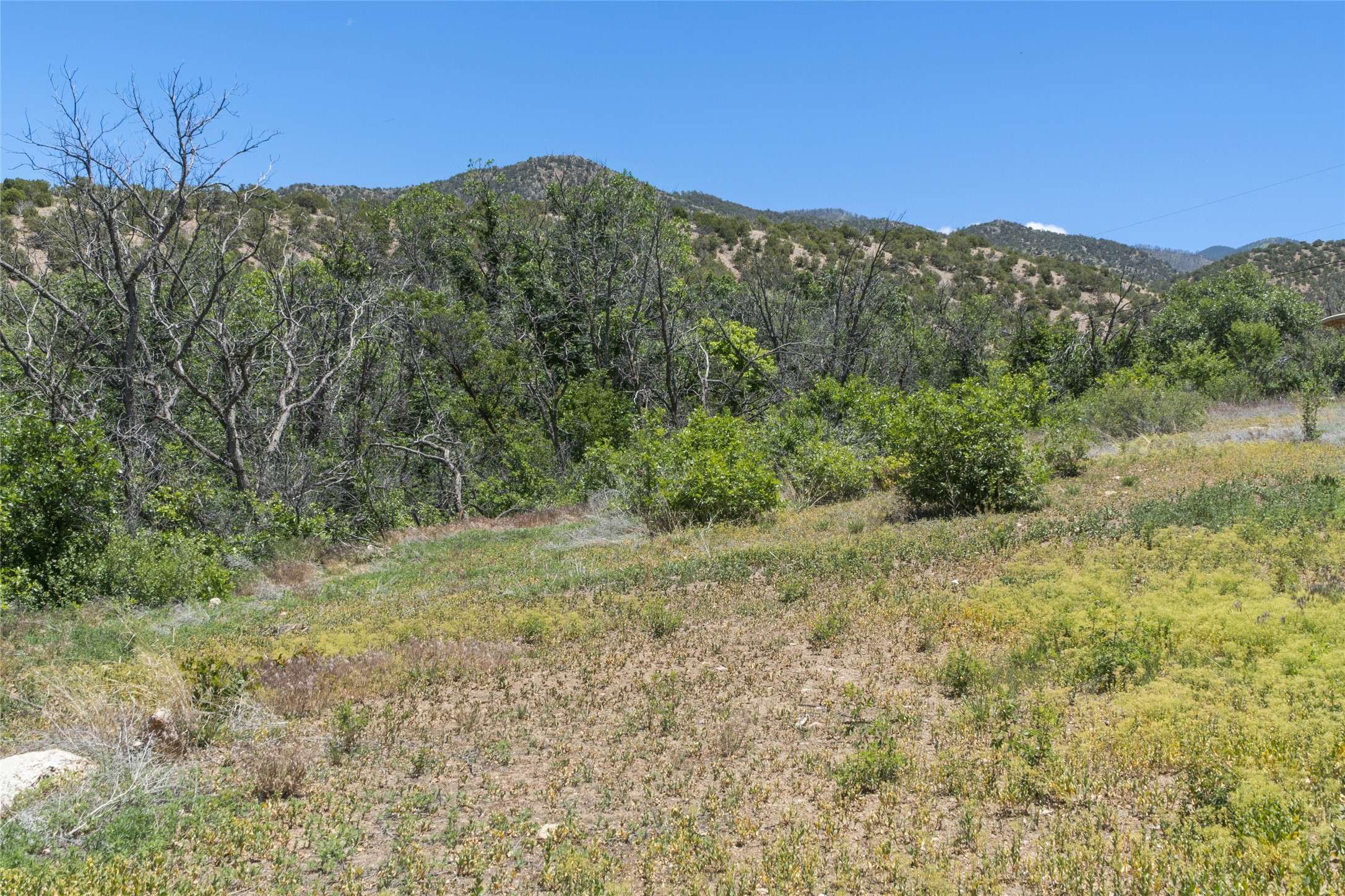 Santa Fe, NM 87506,7 Rancho De Ortiz