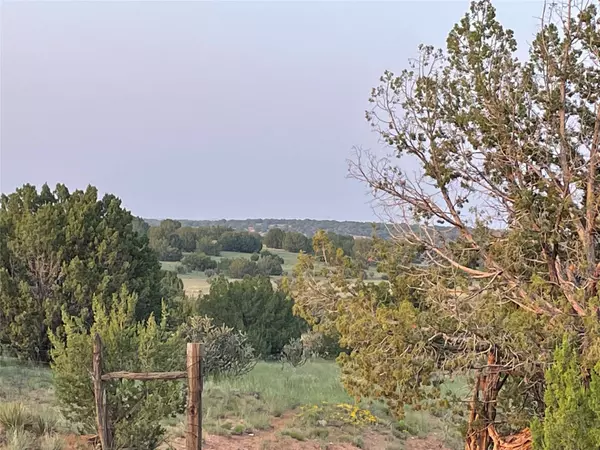 Santa Rosa, NM 88435,44 Pintada Loop RD