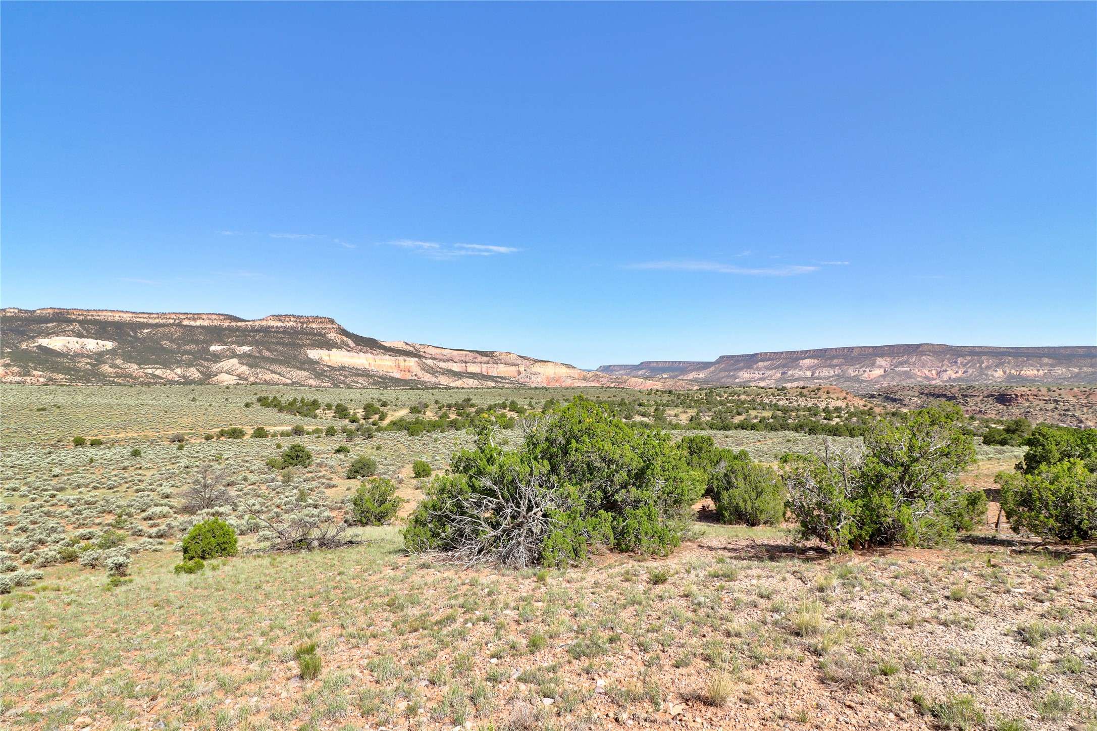 Youngsville, NM 87064,TBD Mesa Prieta Rd