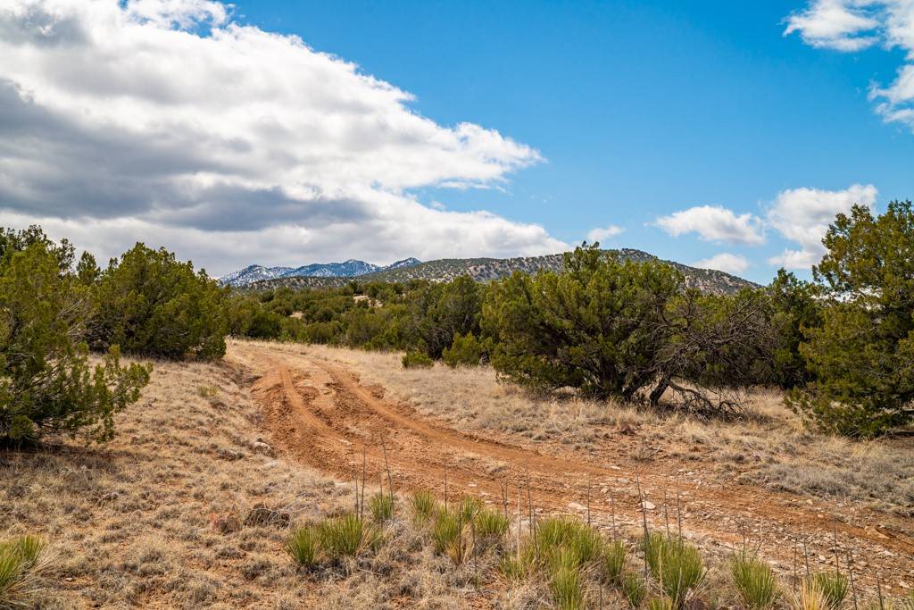 Cerrillos, NM 87010,TBD Hanuman