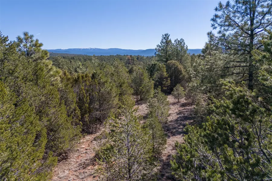 Tract 4 & 5 Avenida Ponderosa, Santa Fe, NM 87535