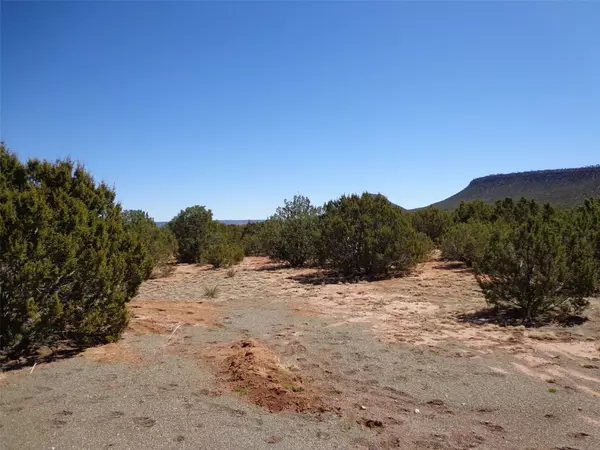 NM 87569,Tract 2A Camino del Sol