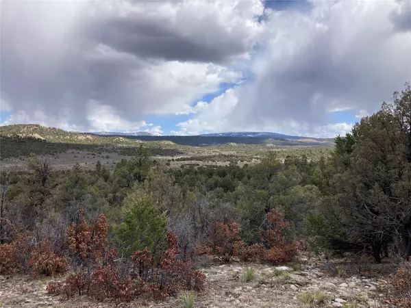 Tierra Amarilla, NM 87575,TBD Talavera Unit 4 Lot 14