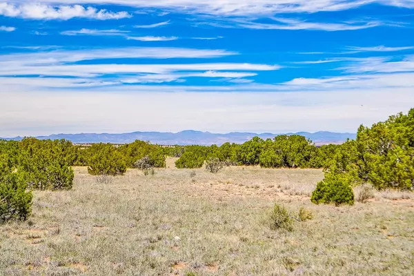 Cerrillos, NM 87010,56 Ocean View
