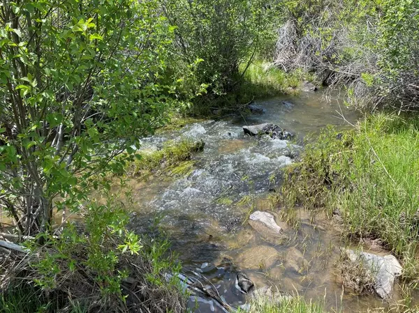 Tierra Amarilla, NM 87575,SE Mesa Tract & Cecil Cox Tract