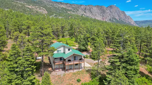 109 A Brass Cap RD, Chama, NM 87520