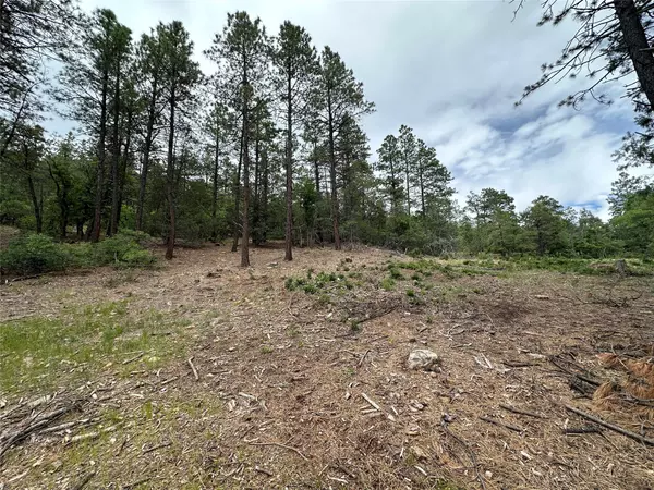 Chama, NM 87520,Block 1 Lot 19 Brazos Estates