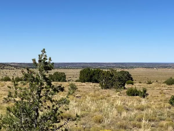 Quemado, NM 87829,Lots 2 & 5 Red Hill West Subd.