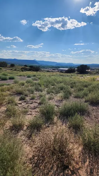 XX Inez St, Abiquiu, NM 87510