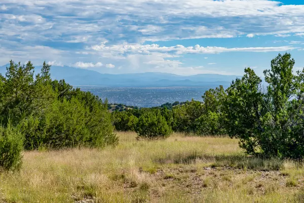 Cerrillos, NM 87010,95 Grenfell Ranch & 30 Blue Agave