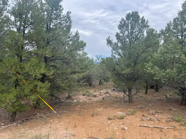 Tierra Amarilla, NM 87575,8-A and 8-B Talavera Ln