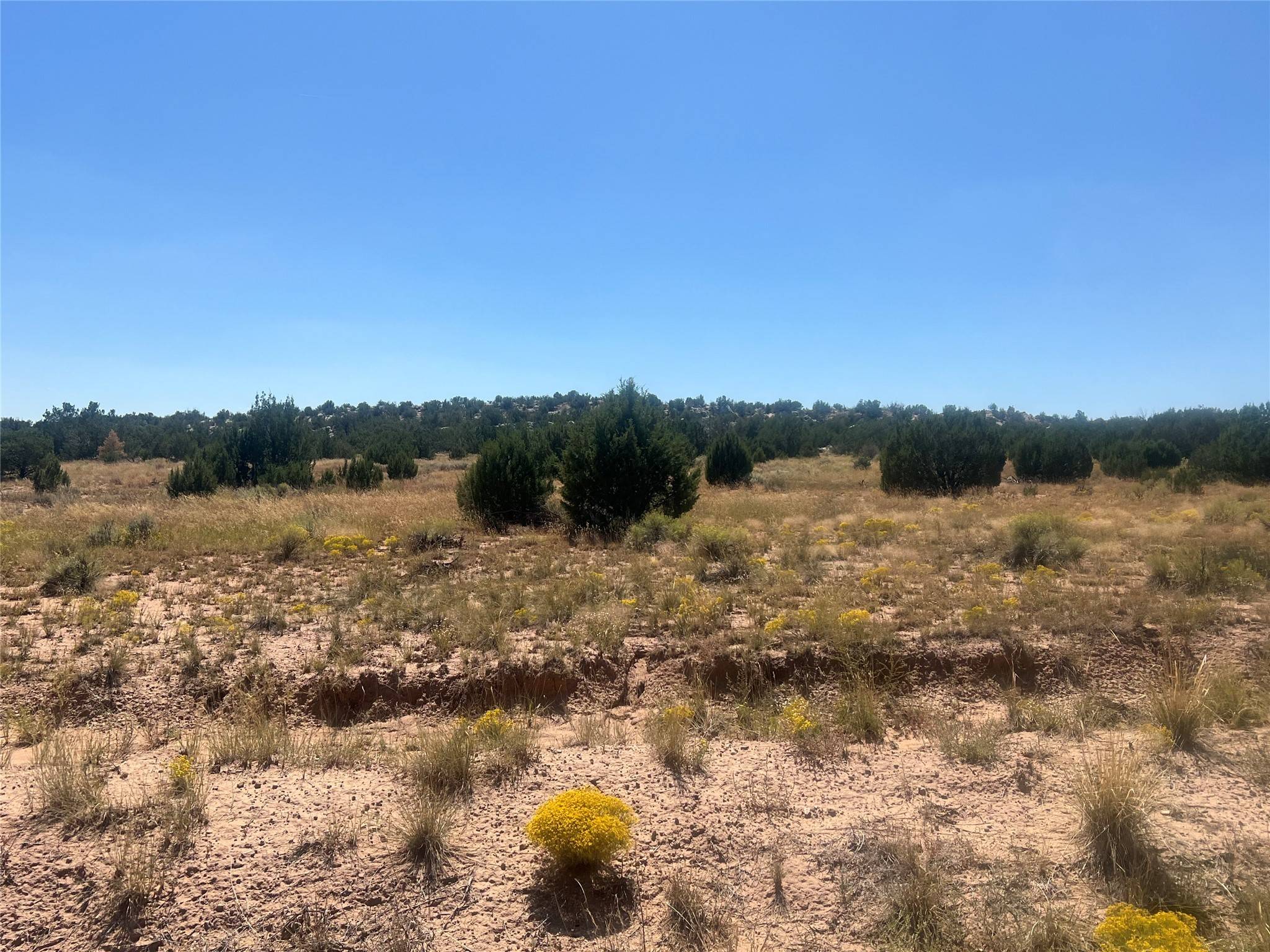 78 Alterita Rd, Cerrillos, NM 87010